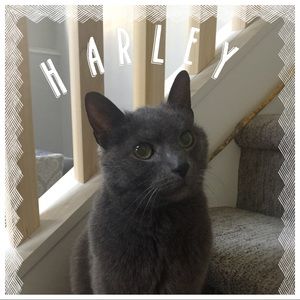 Meet your Posher, Brooklyn